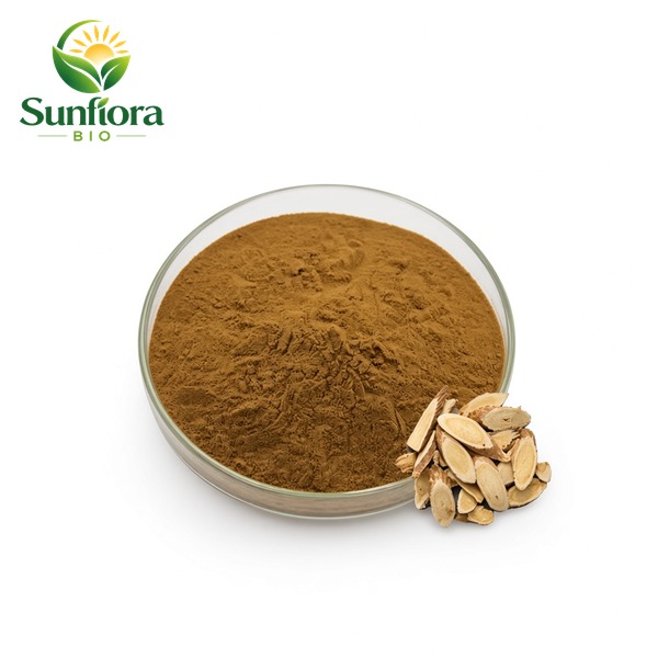 Astragalus Extract Powder
