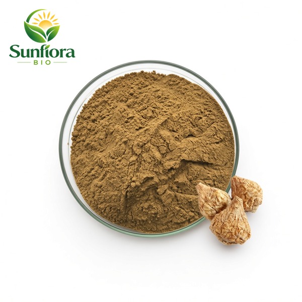 Maca Root Extract Powder