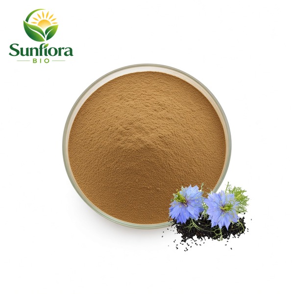 Black Seed Extract Thymoquinone Powder
