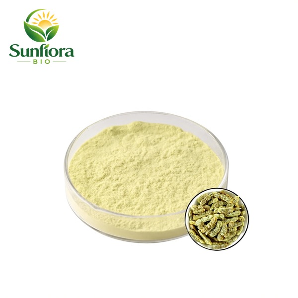 Sophora Japonica Extract Genistein Powder