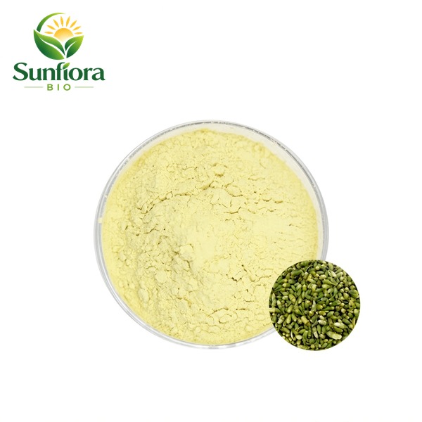 Sophora Japonica Extract Luteolin Powder