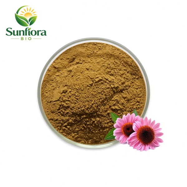 Echinacea Purpurea Extract Powder