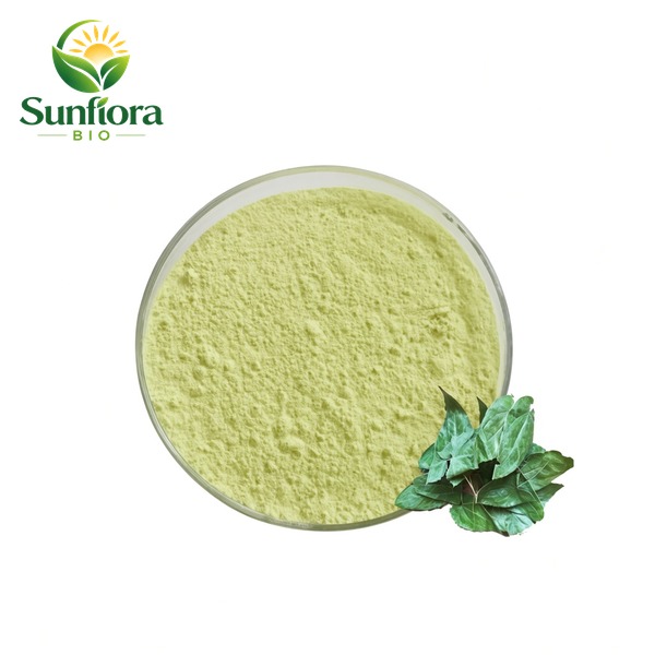 Epimedium Extract Icariin Powder