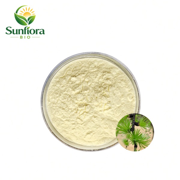 Larch Extract Dihydroquercetin（Taxifolin）Powder