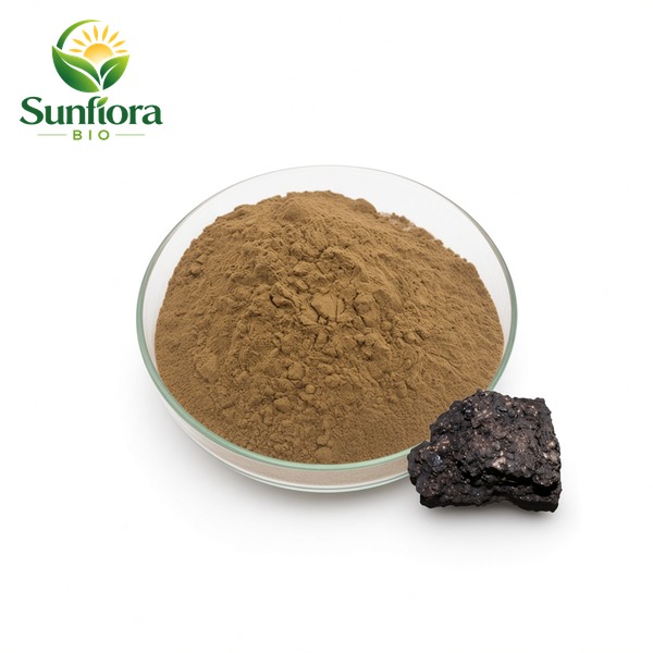 Shilajit Extract Fulvic Acid Powder