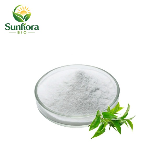 Green Tea Extract Polyphenol EGCG Powder