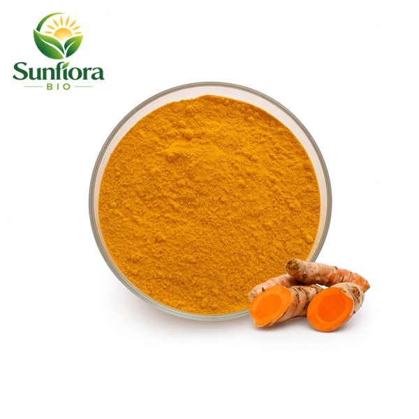 Turmeric Extract Curcumin Powder