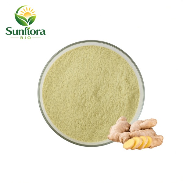 Ginger Root Extract Gingerol Powder