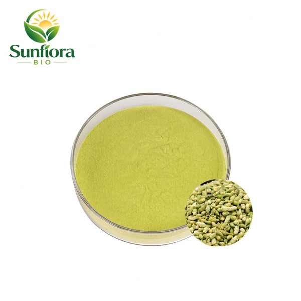 Sophora japonica Extract Rutin Powder