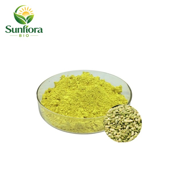 Sophora Japonica Extract Quercetin Powder