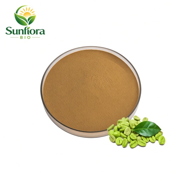 Green Coffee Bean Extract Chlorogenic Acid Powder