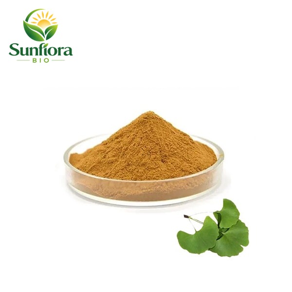 Ginkgo Biloba Extract Powder