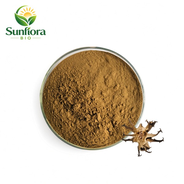 Devils Claw Extract Harpagoside Powder