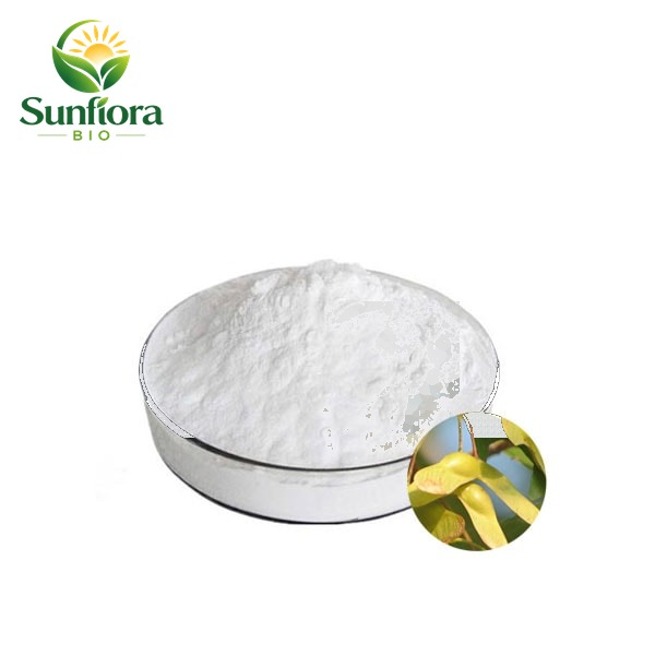 Acer Truncatum Seed Extract Nervonic Acid Powder