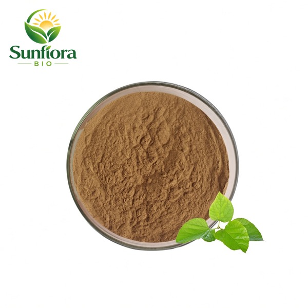 Mulberry Leaf Extract Powder