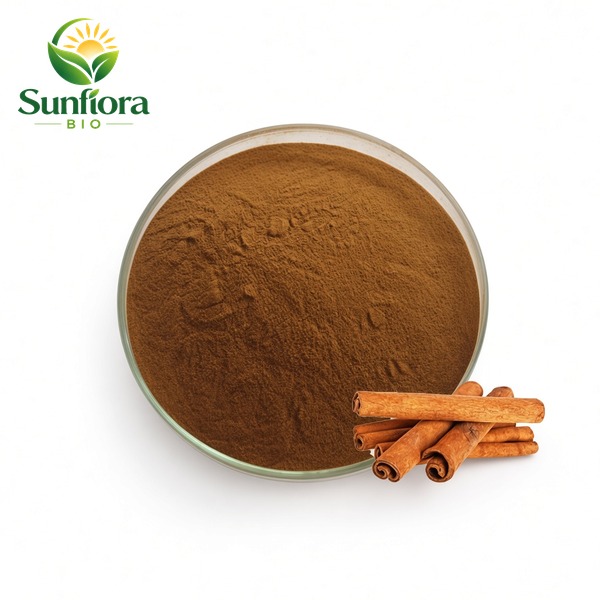 Cinnamon Bark Extract Powder