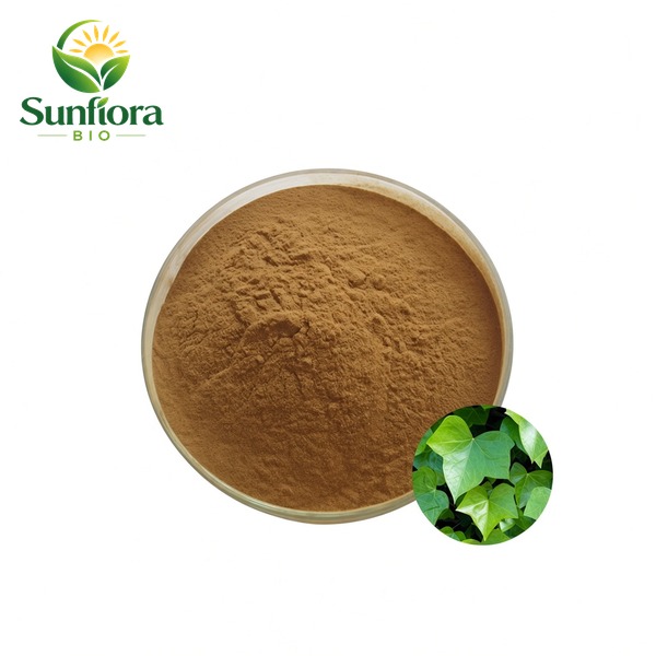 Ivy Leaf Extract Powder