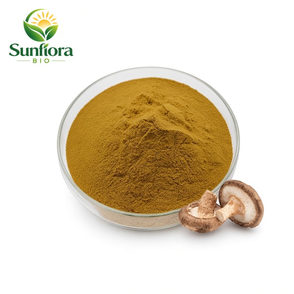 Shiitake Mushroom Extract Powder