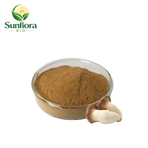 Pleurotus Eryngii Extract/King Oyster Mushroom Extract Powder