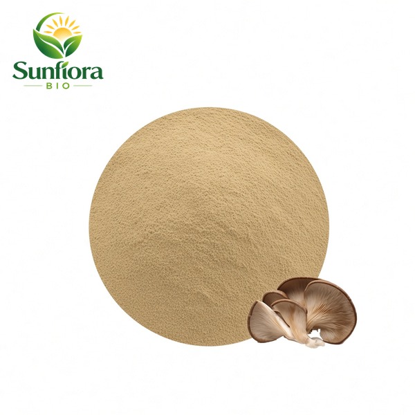 Oyster Mushroom Extract/Pleurotus Ostreatus Extract Powder