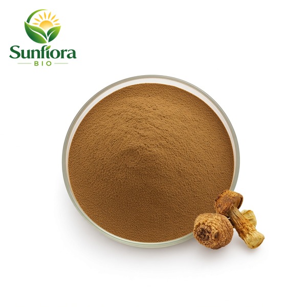 Agaricus Blazei Extract Powder