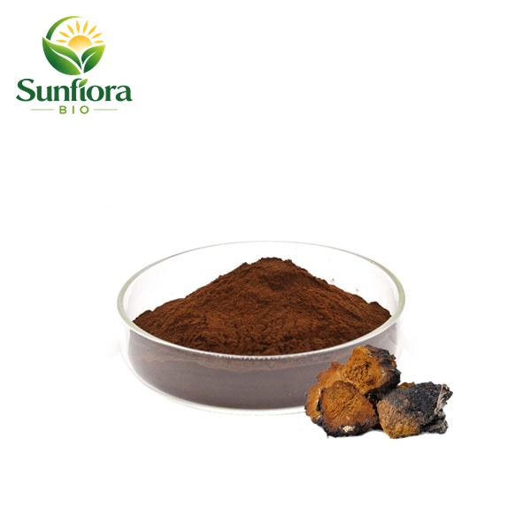 Chaga Mushroom Extract Powder