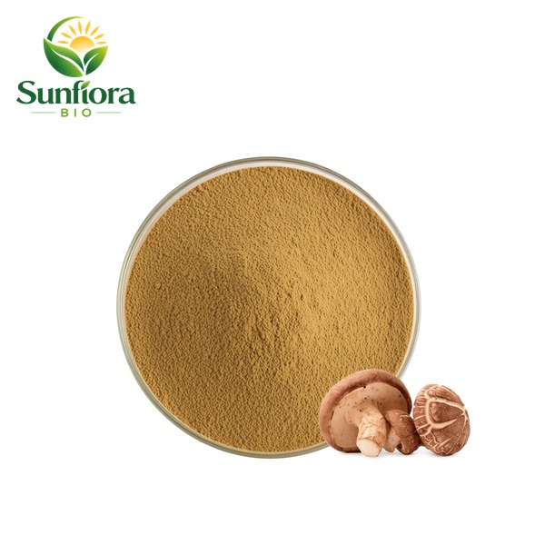 Shiitake Mushroom Extract AHCC Powder
