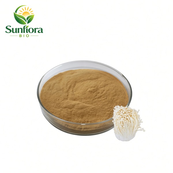 Enoki Mushroom Extract Powder