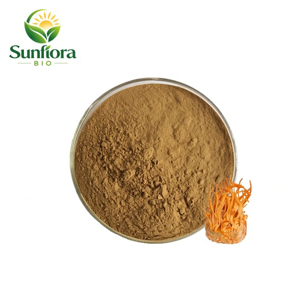 Cordyceps Militaris Extract Powder