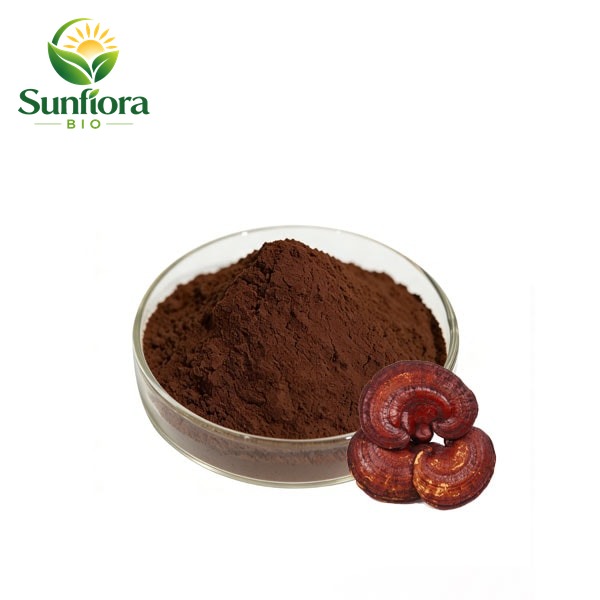 Shell Broken Reishi Spore (Ganoderma Lucidum) Powder