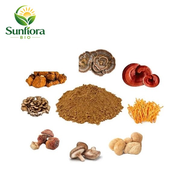 Organic Mushroom Extract Blend Powder