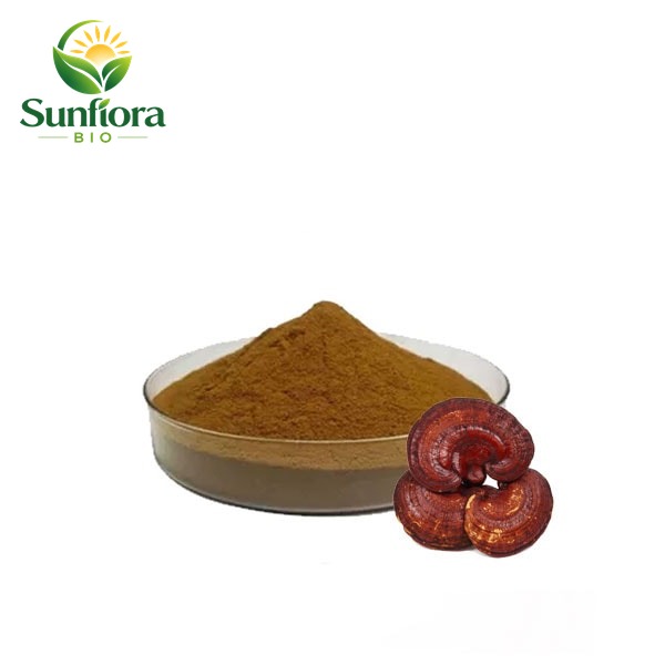 Organic Reishi Mushroom Extract/Ganoderma Lucidum Extract Powder