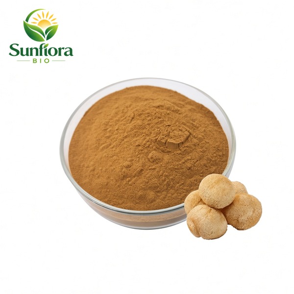 Organic Lion’s Mane Mushroom Extract (Hericium Erinaceus) Powder