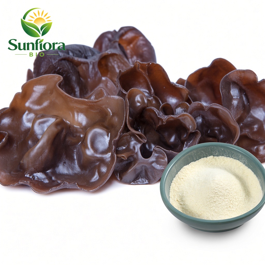 Black Fungus Mushroom Extract