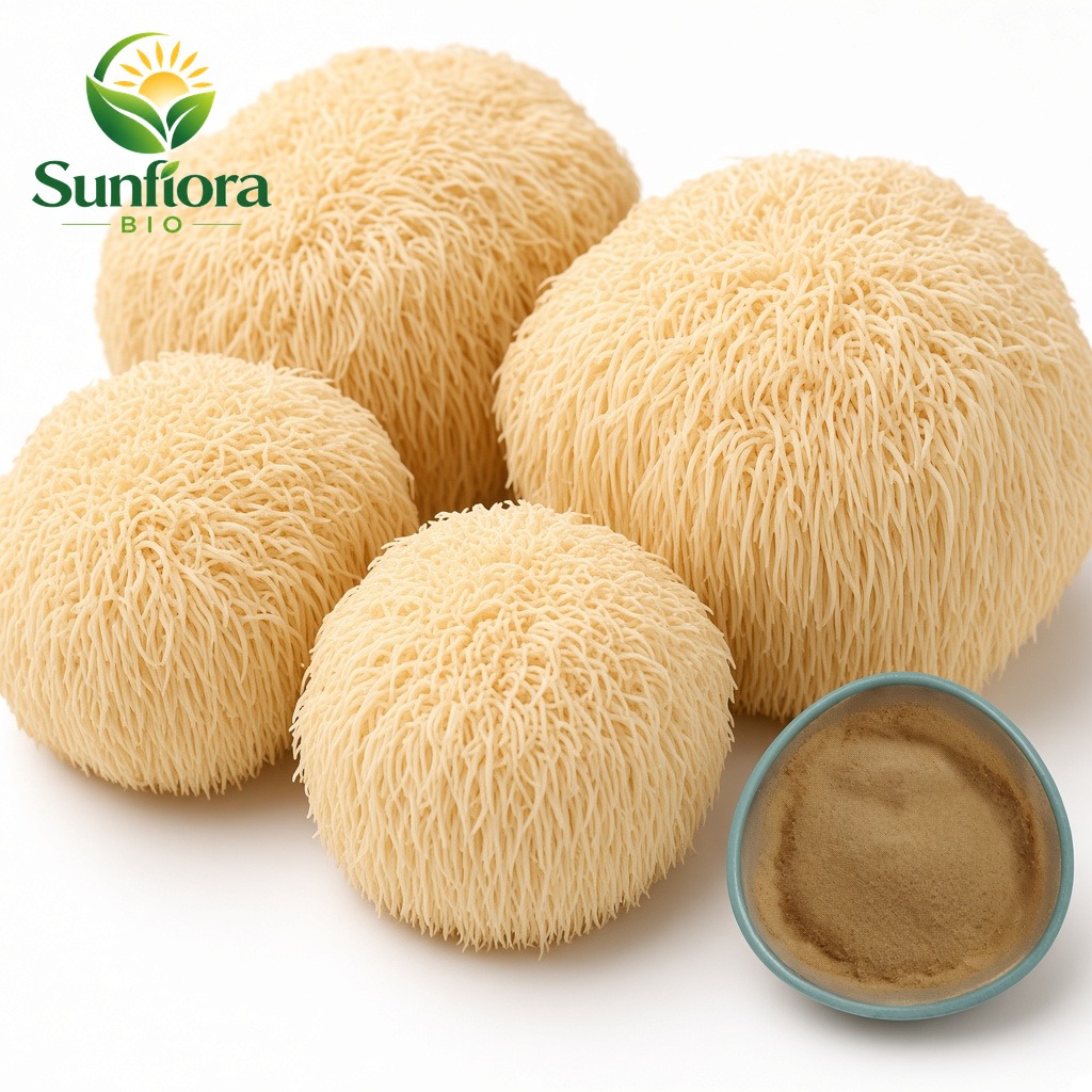 Lions Mane Mushroom powder