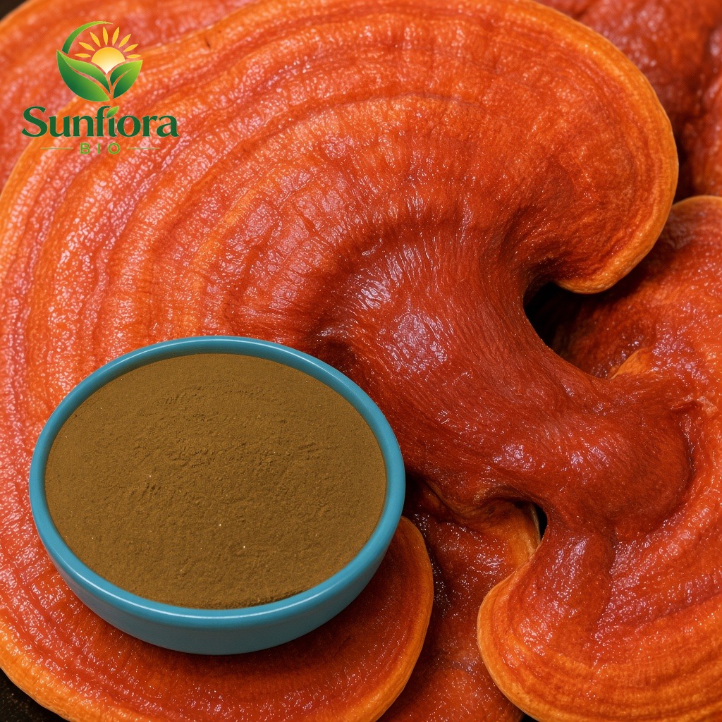 Antrodia Cinnamomea Extract