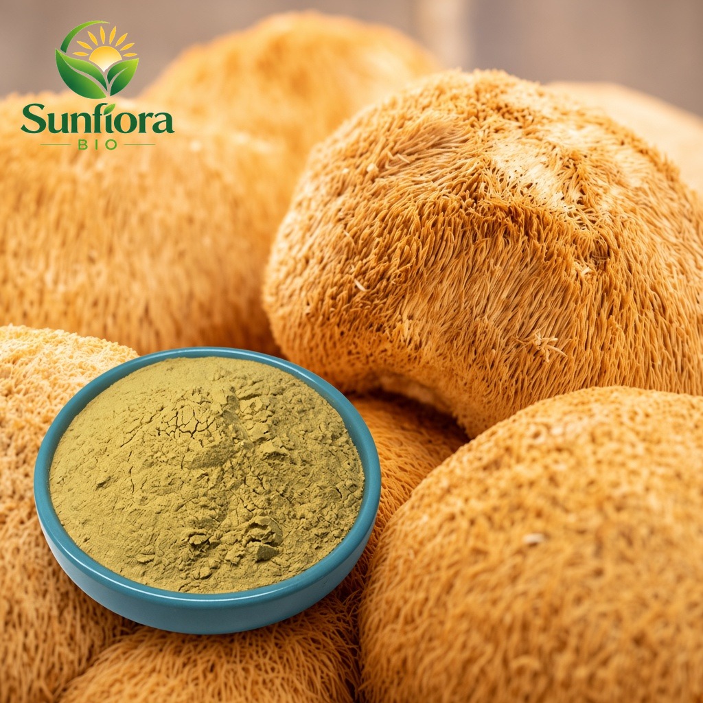 Hericium Erinaceus Extract / Lions mane mushroon Extract