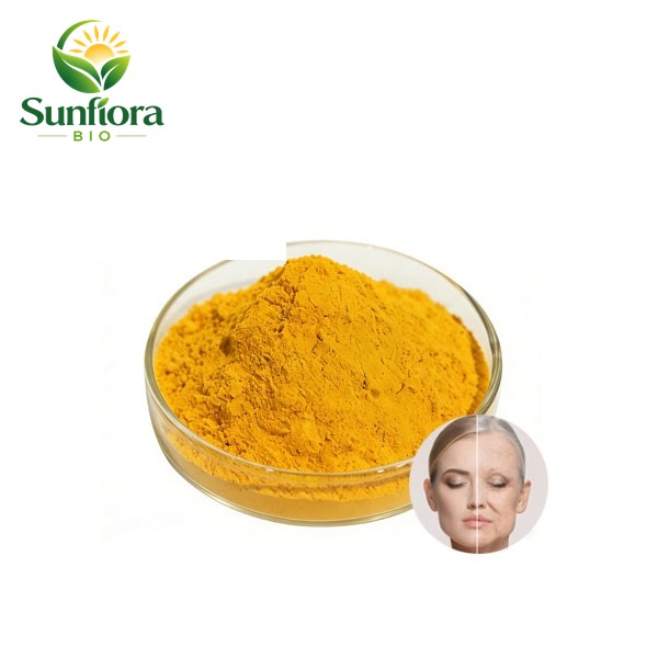Water Soluble Coenzyme Q10 Powder