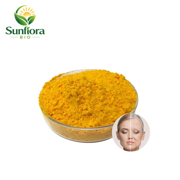 Coenzyme Q10 Powder