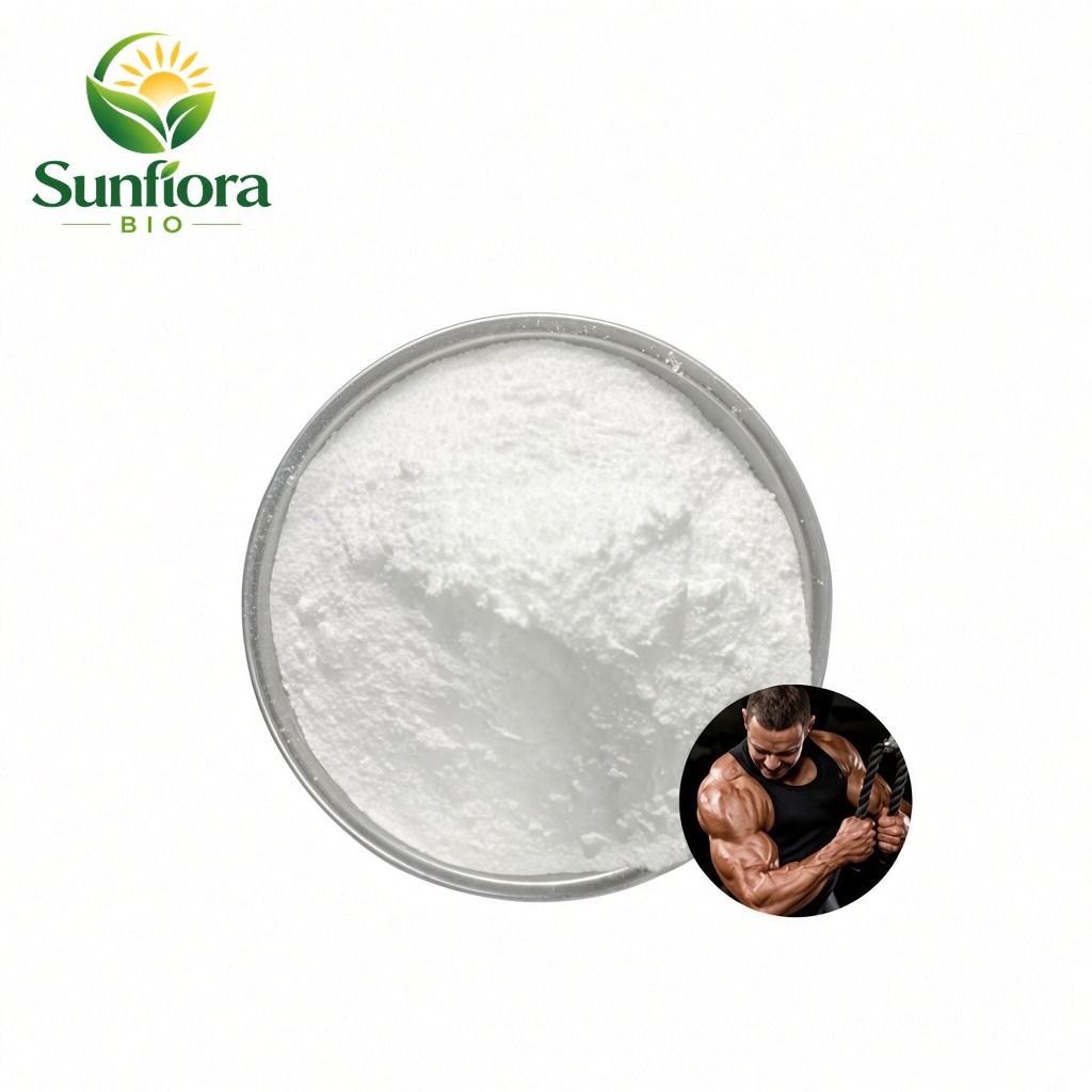 Creatine Monohydrate Powder