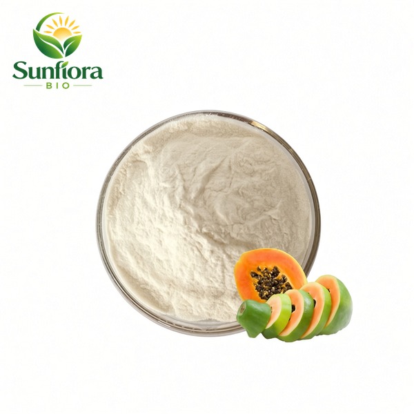 Papain Powder/Papaya Enzyme Powder