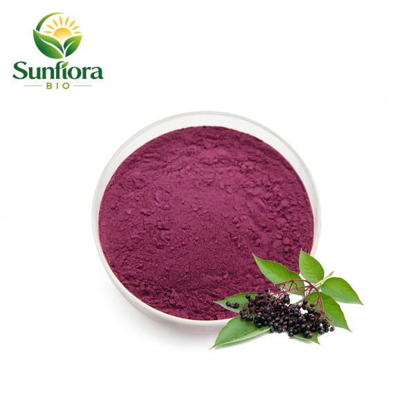 Elderberry Powder