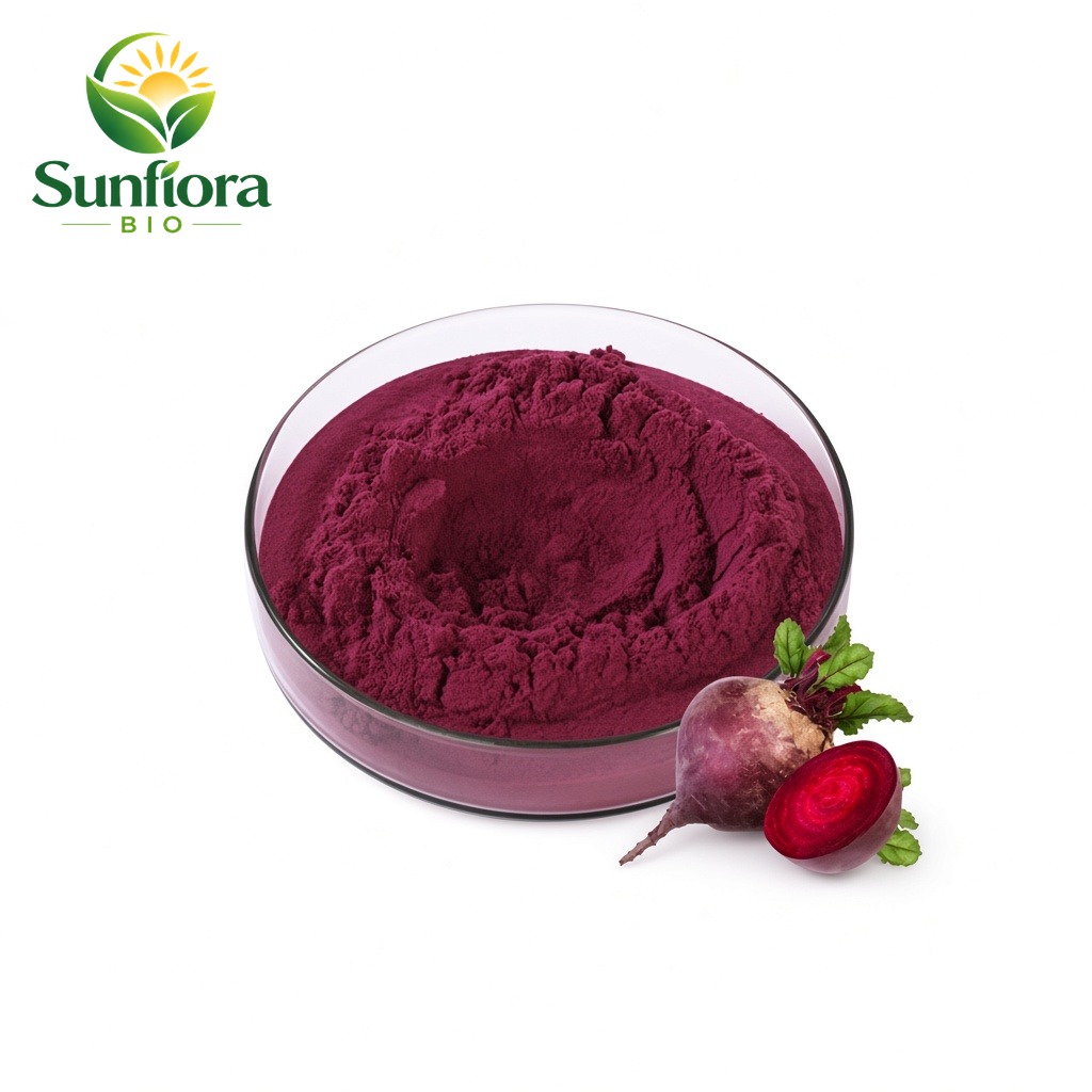 Organic Beetroot Powder/Beetroot Juice Powder