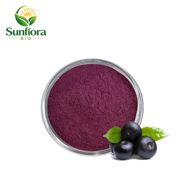 Acai Berry Powder