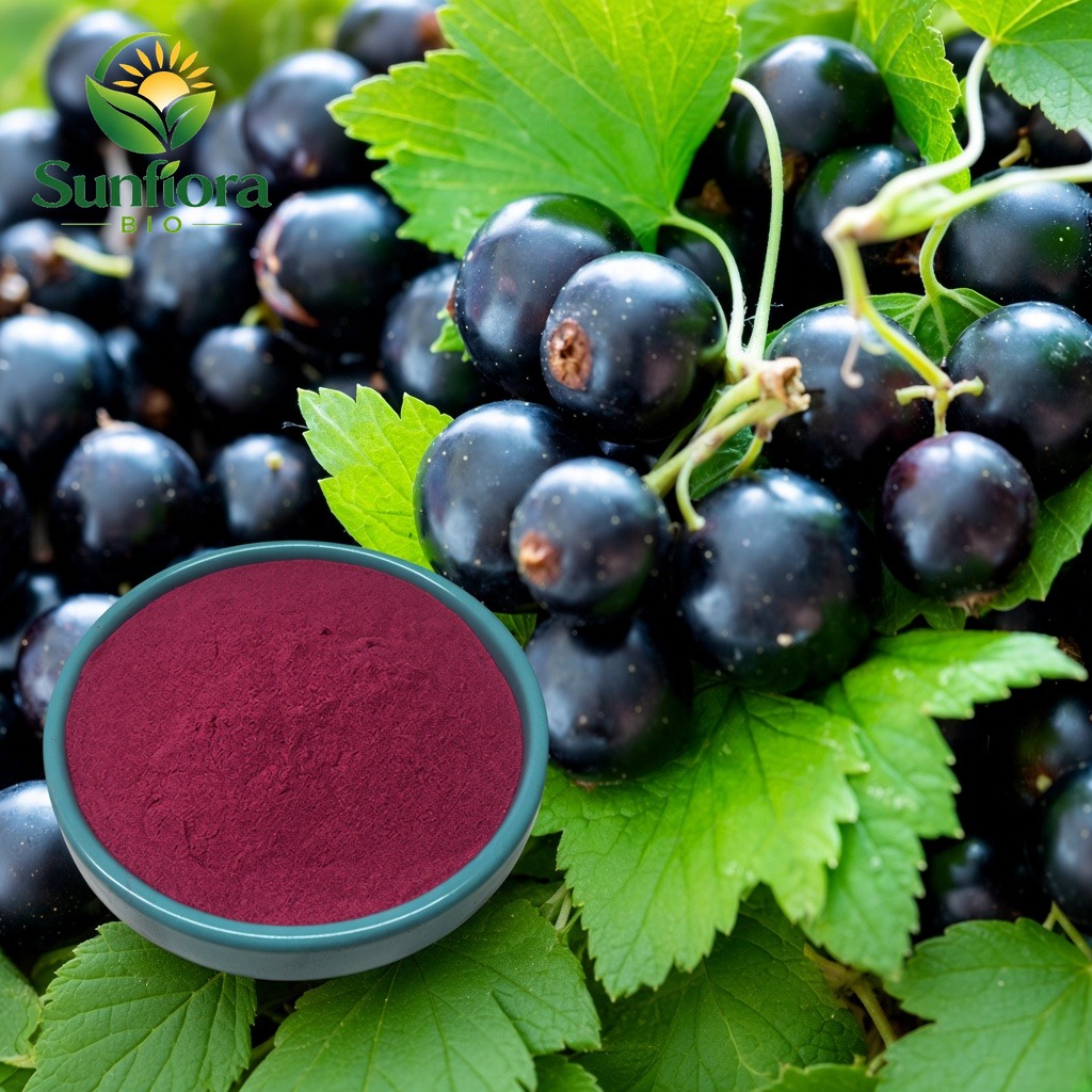 Black currant powder