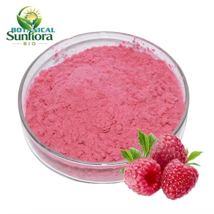 B.C.I Supply Pure Beverage & Foods Concentrate Powder Raspberry Extract Raspberry Fruit Juice Powder