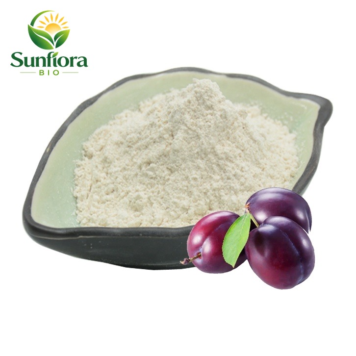 Dried Plum Powder Food Beverage Grade Natural Fruit Powder Sour Plum Juice Extract Powder