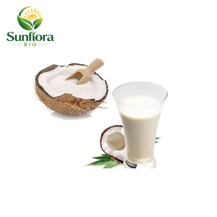 B.C.I Supply Fruit Extract Coconut Extract Coconut Fruit Juice Powder Coconut Milk Powder Price