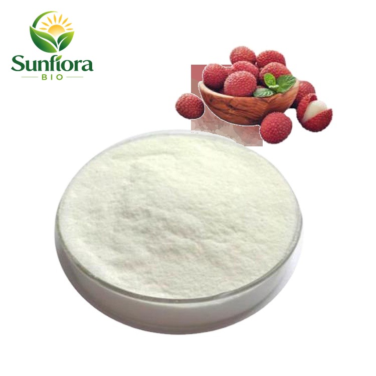 B.C.I Supply Hot Sale Instant Solid Drinks Lychee Litchi Fruit Powder Lychee Juice Powder