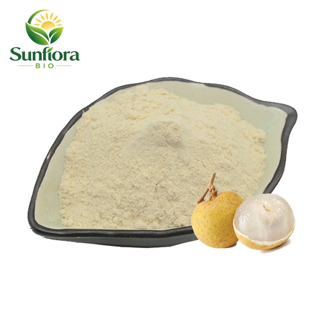 B.C.I Supply Fresh Longan Extract Powder Longan Juice Powder